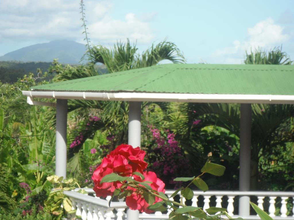Classique International In Dominica Marigot Quarto foto